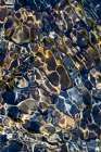 Smooth river rocks beneath surface of small stream, Great Smoky Mountains National Park, Tennessee Abstract Art Print